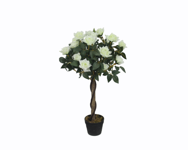 Rose Tree