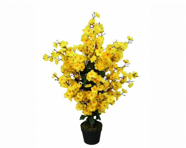 Wintersweet