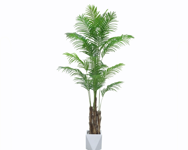 Hawaii palm