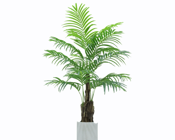 Pearl Palm Tree