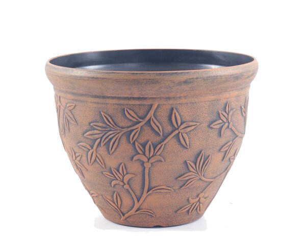 POTS